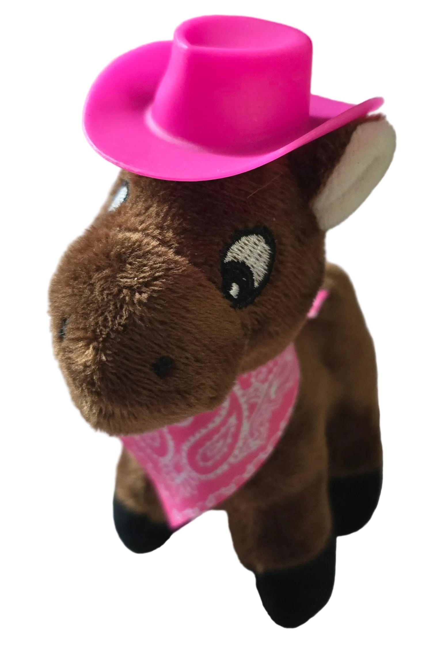 Adopt-A-Bay Horse