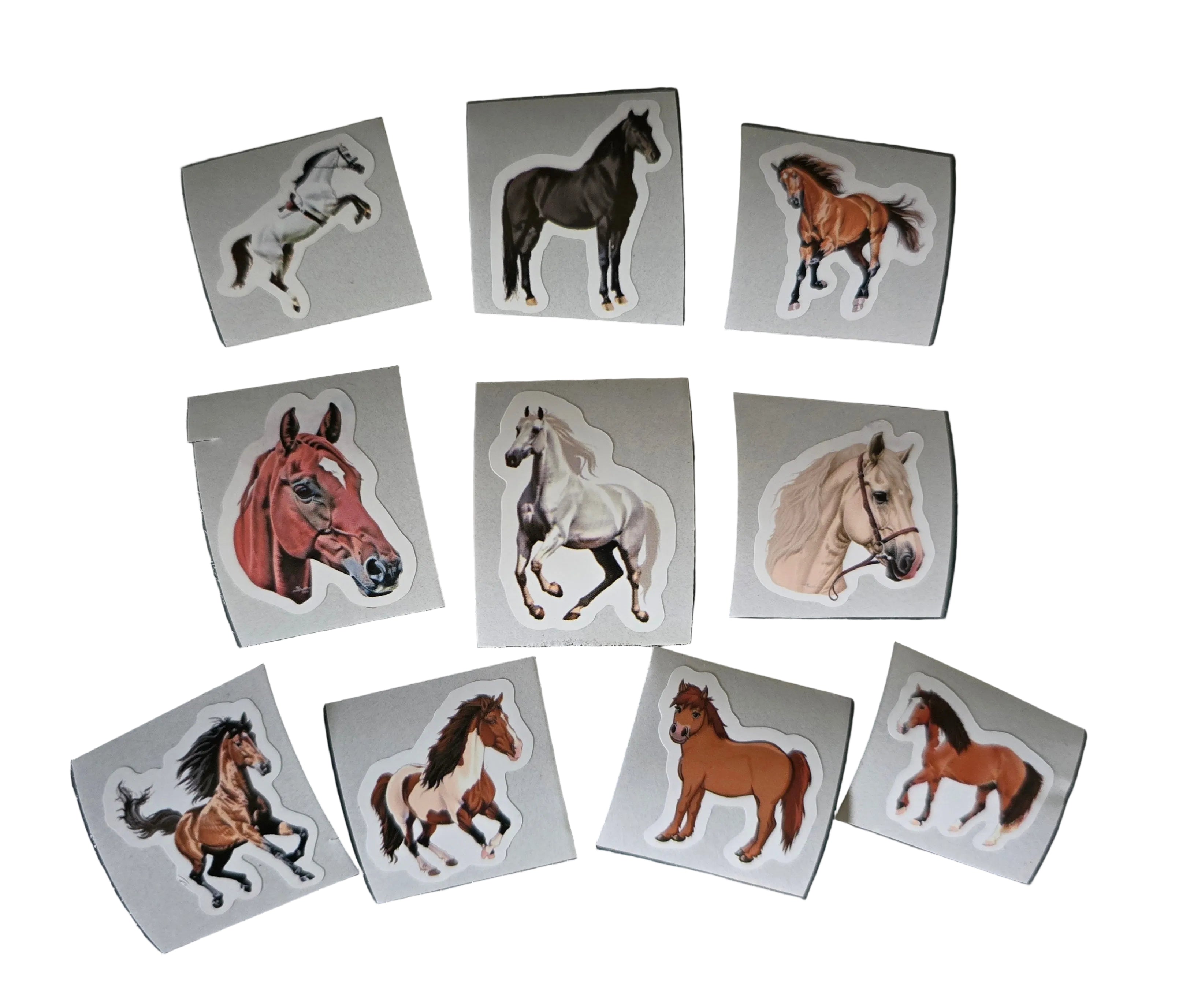 Adopt-A-Grey Horse