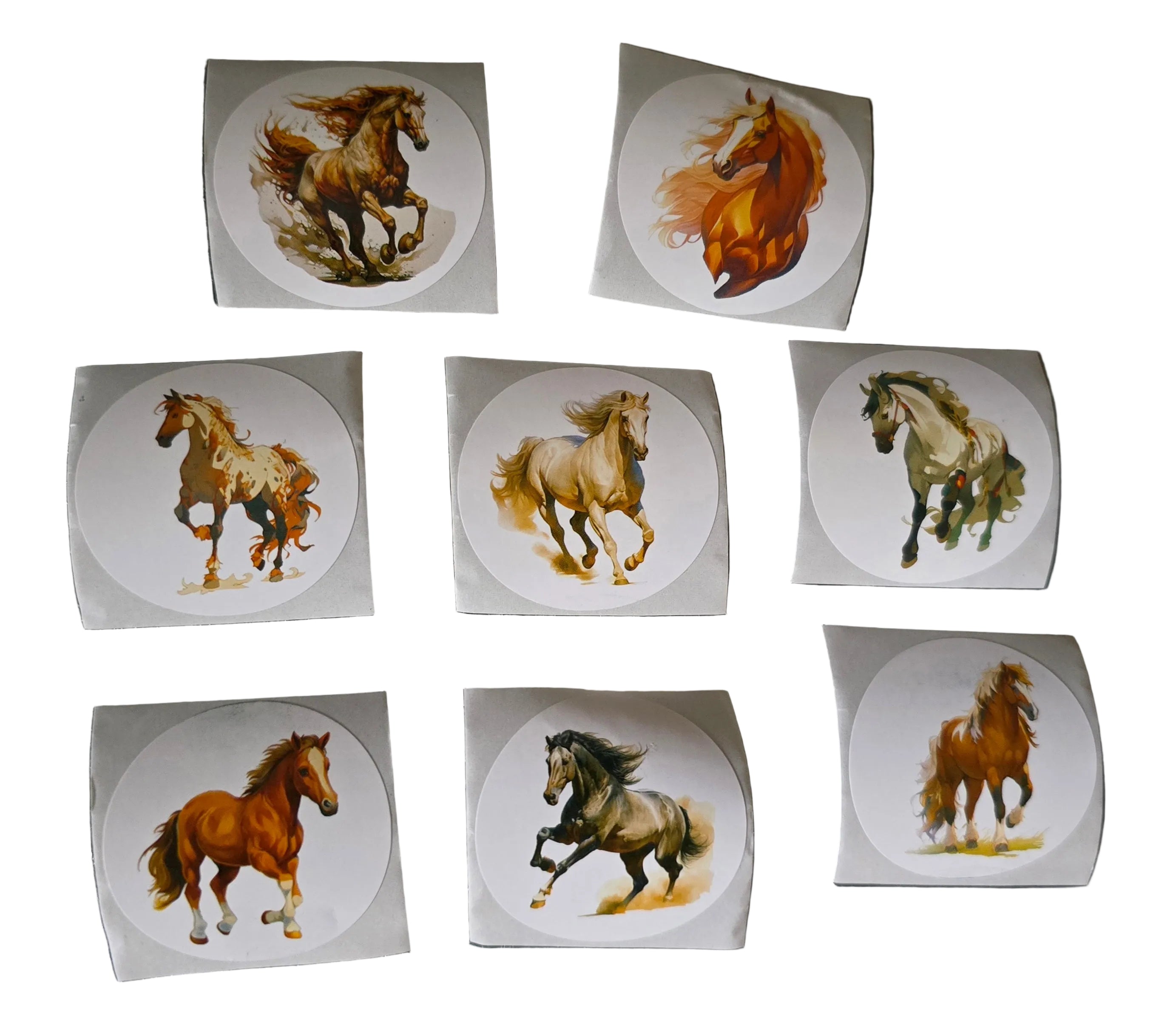 Adopt-A-Bay Horse