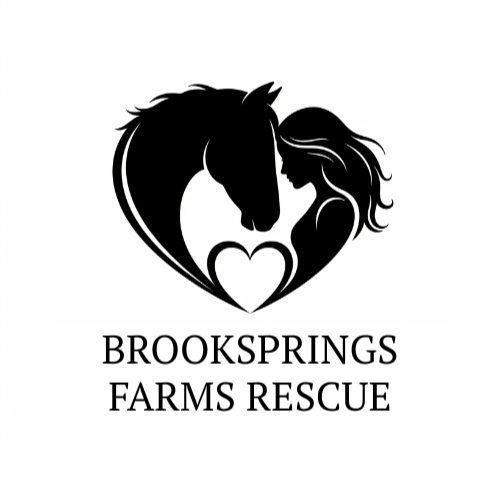 Brooksprings Farms Rescue