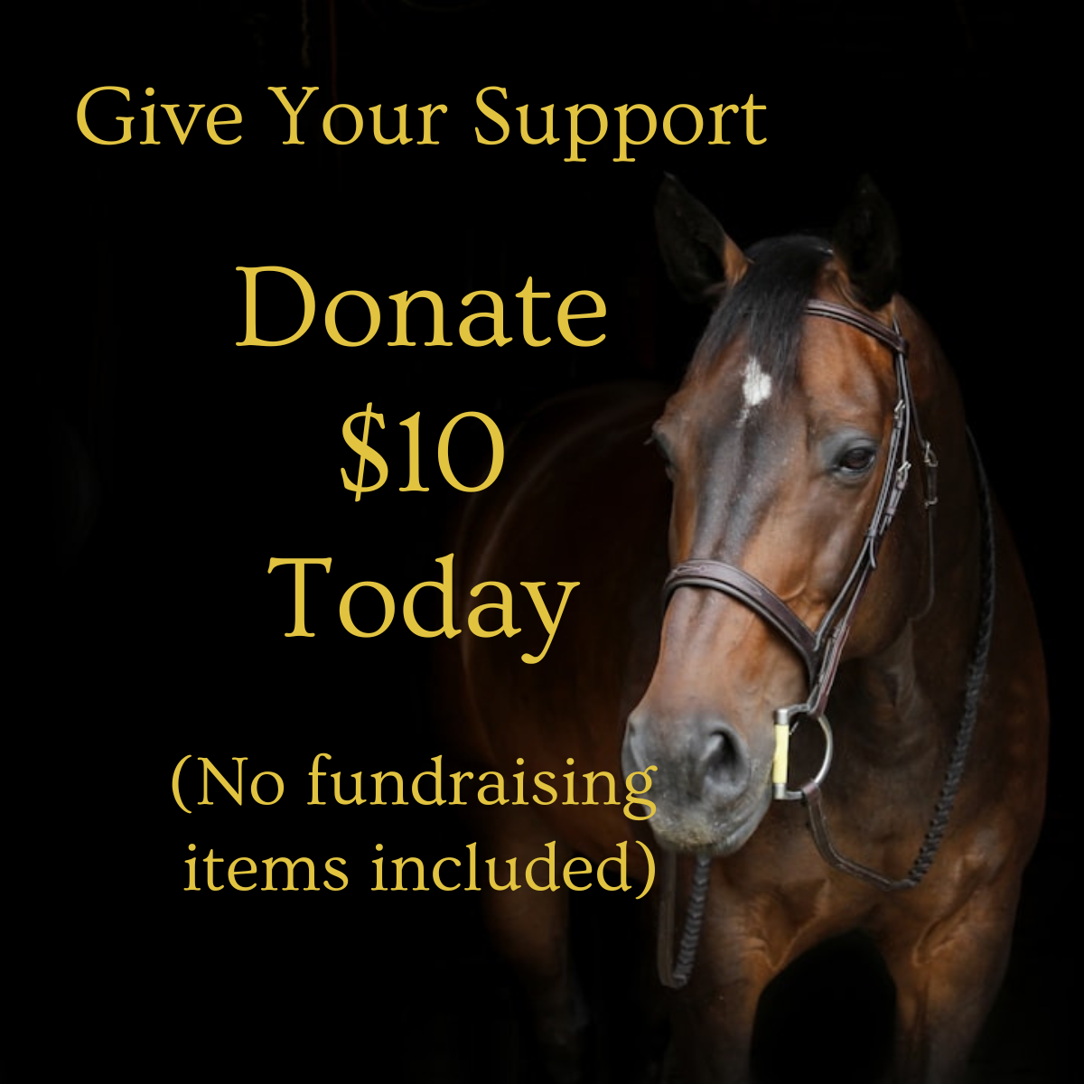 $10 DONATION