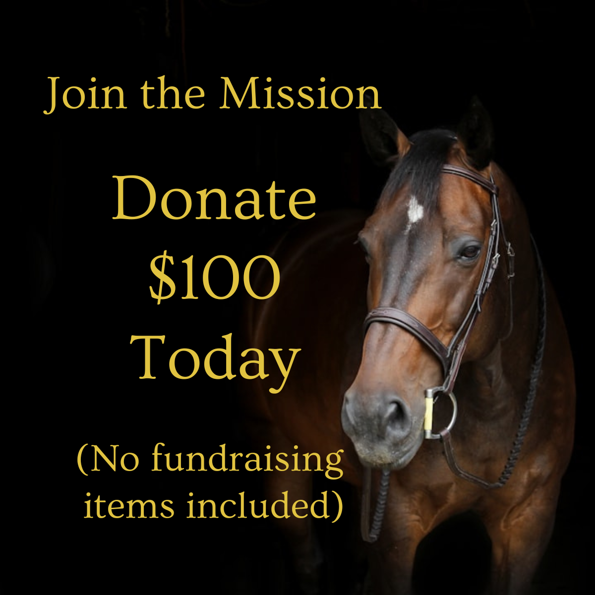 $100 DONATION