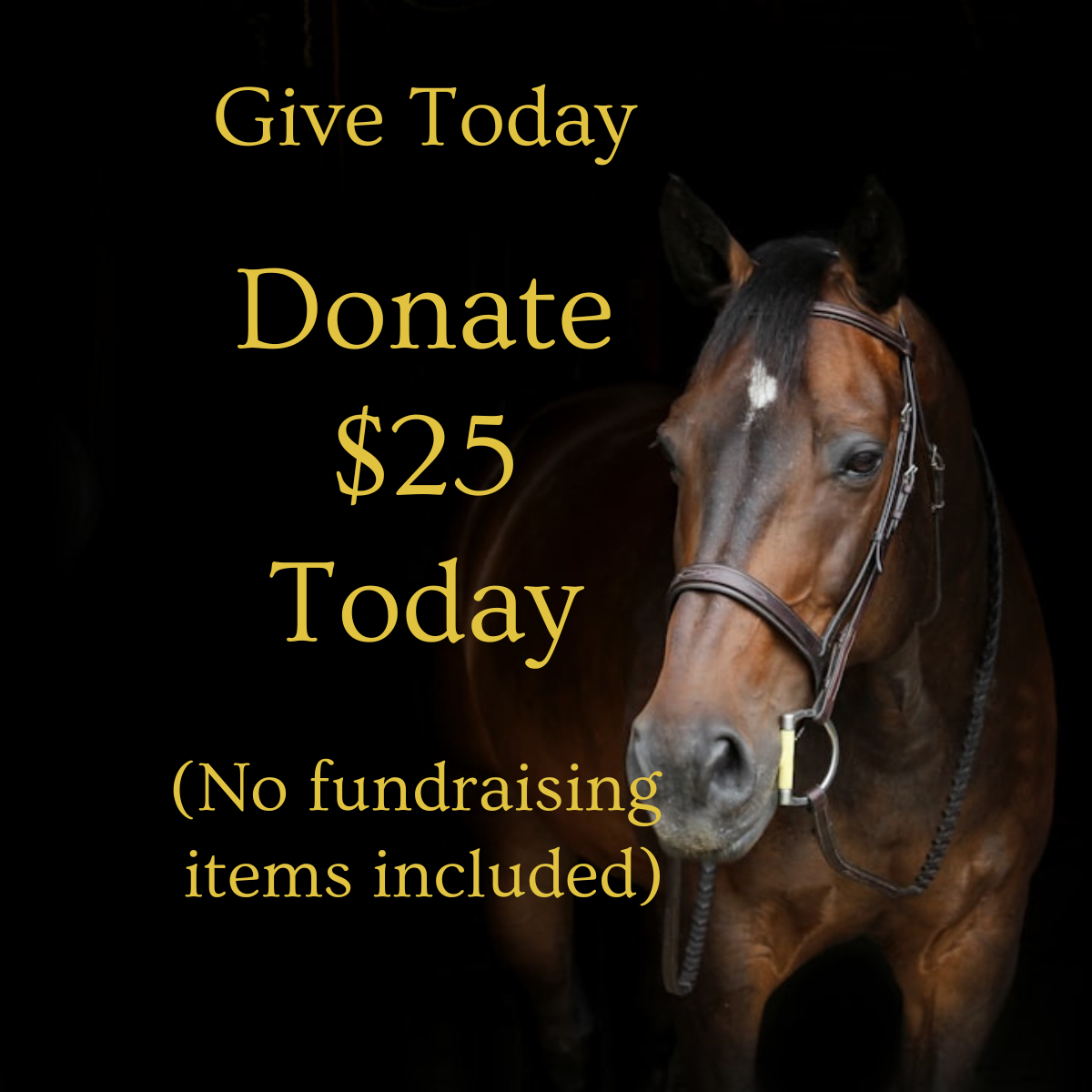 $25 DONATION