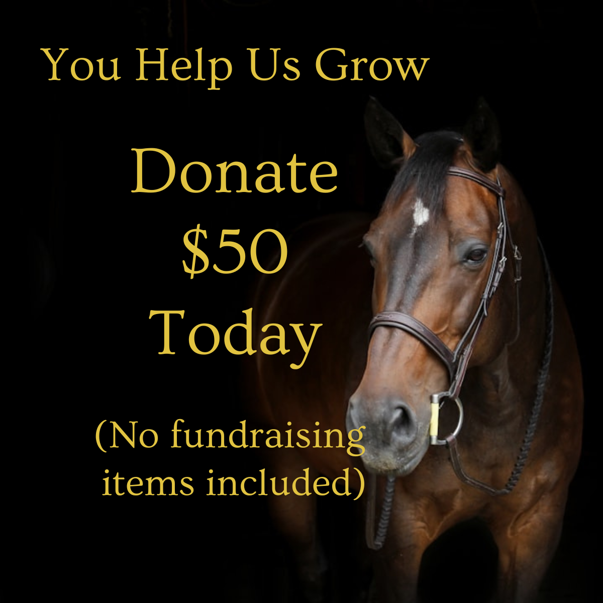 $50 DONATION