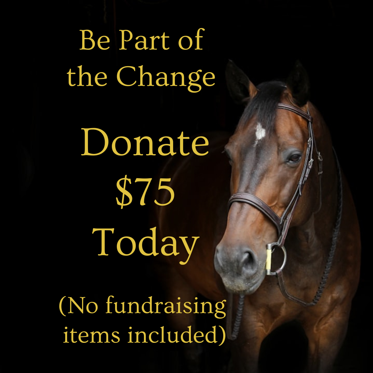 $75 DONATION