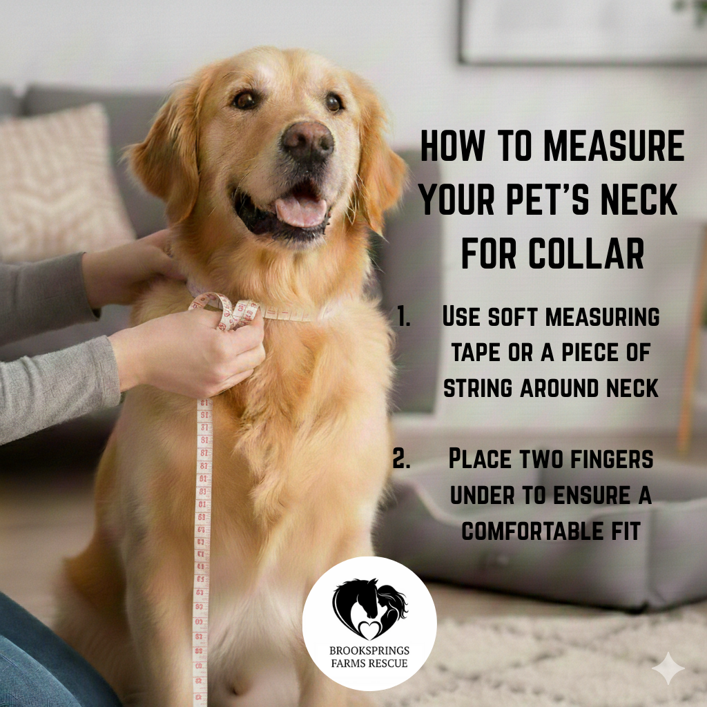 Awareness Charity Collar